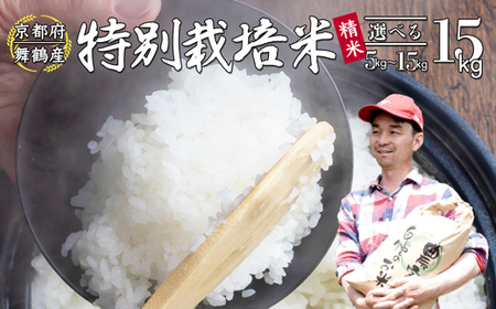 【令和7年度産 新米】 棚田米 精米 15kg  白米 コシヒカリ 特別栽培米 7割削減 こしひかり お米