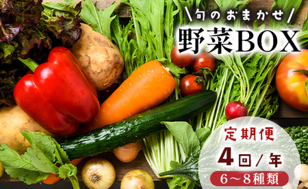 【4回定期便】 京都 舞鶴 季節の野菜BOX 詰め合せ セット 6～8種類 年4回 旬野菜