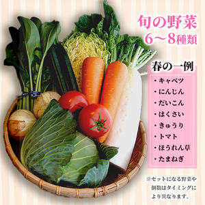 【4回定期便】 京都 舞鶴 季節の野菜BOX 詰め合せ セット 6～8種類 年4回 旬野菜