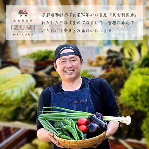 【4回定期便】 京都 舞鶴 季節の野菜BOX 詰め合せ セット 6～8種類 年4回 旬野菜