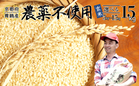 【令和7年度産 新米】 棚田米 玄米 15kg コシヒカリ 栽培期間中 農薬不使用 お米 玄米