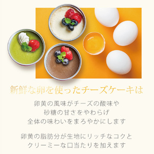 チーズケーキ 缶詰 3種 6缶セット（プレーン・抹茶・チョコ） 缶詰