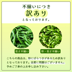 【訳あり】 万願寺甘とう 良品 2kg | 万願寺甘とう 訳あり野菜 京野菜