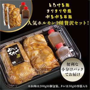 厳選 ホルモン 欲張りセット 600g 小腸 / 上ミノ / テッチャン 各200g