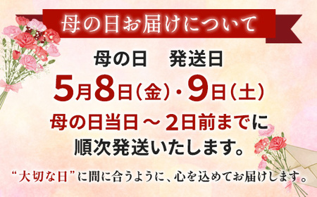 【母の日限定】 メルシー クッキー缶 フラワークッキー&幸せのポルボロン 二段24枚+16個