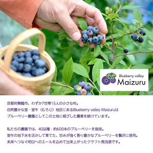 ブルーベリーミライエール 330ml×3本 | ブルーベリー 地ビール クラフトビール