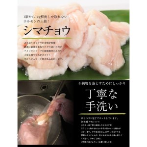 中トロホルモン 西京味噌焼き 600g (100g×6) ホルモン