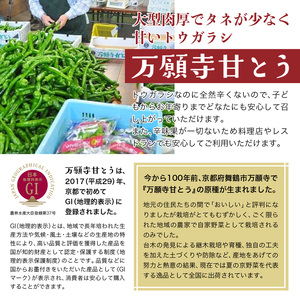 【2025年夏発送分】 京の伝統野菜 「万願寺甘とう」1箱 1.2㎏ ： 野菜 万願寺 万願寺とうがらし 甘唐辛子 甘とう 辛くない 夏野菜 緑黄色野菜 伝統野菜 地場野菜 地物 農協直送 京野菜 特産品 詰め合わせ ギフト 旬の野菜 京都産 舞鶴産 京都 舞鶴 舞鶴市JA