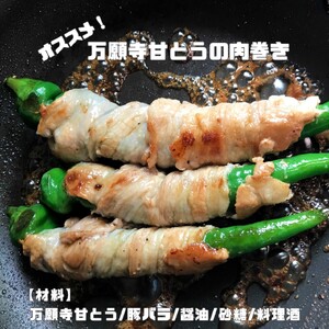 【2025年夏発送分】 京の伝統野菜 「万願寺甘とう」1箱 1.2㎏ ： 野菜 万願寺 万願寺とうがらし 甘唐辛子 甘とう 辛くない 夏野菜 緑黄色野菜 伝統野菜 地場野菜 地物 農協直送 京野菜 特産品 詰め合わせ ギフト 旬の野菜 京都産 舞鶴産 京都 舞鶴 舞鶴市JA