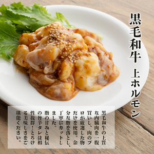 黒毛和牛 上ホルモン 600g （150g×4袋/3～4人前） ホルモン