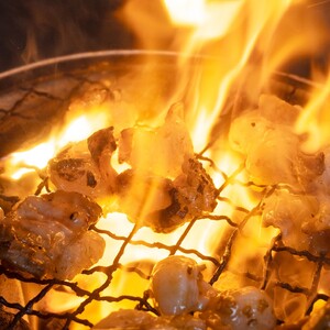 黒毛和牛 上ホルモン 600g （150g×4袋/3～4人前） ホルモン