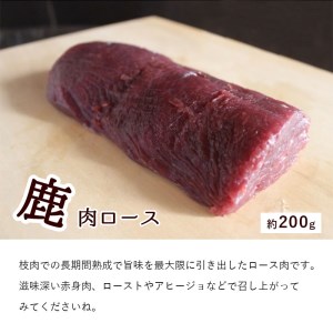 ジビエ 鹿肉 お試しセット ロース約200g モモ約300g ミンチ500g 合計約1kg 肉 セット