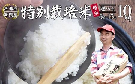 【令和7年度産 新米】 棚田米 精米 10kg  白米 コシヒカリ 特別栽培米 7割削減 こしひかり お米