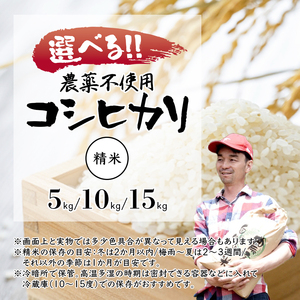 【令和7年度産 新米】 棚田米 精米 5kg 白米 コシヒカリ 栽培期間中農薬不使用 精米 お米