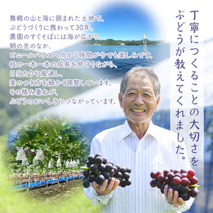 本日もきたーーーー‼️数量限定‼️バツグンビックシャインマスカット3房6980円5 本日もきたーーー‼️バツグンビックシャインマスカット3房6980
