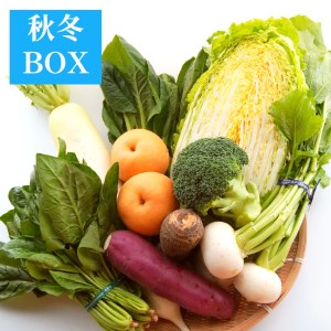 ふるさと納税 季節の野菜box 旬の野菜と果物 8 10種類セット 京野菜 舞鶴産 春 夏 秋 冬 詰め合わせ 味覚 送料無料 京都府舞鶴市 ふるさと納税サイト ふるなび