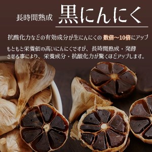 ガツンと！ 黒にんにく 1箱24包 舞鶴産黒ニンニク ペースト | 京都府