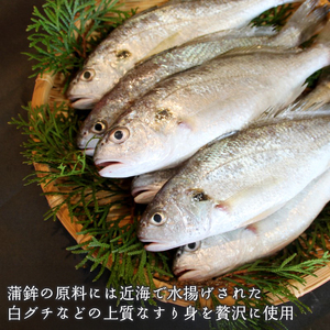 舞鶴名産 御蒲鉾（塗） ５枚 かまぼこ 蒲鉾 カマボコ 塗り蒲鉾 蒲鉾