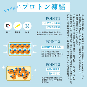 【期間限定】 こっぺがに甲羅盛り 5個 特製出汁醤油 付き ： かに 蟹 カニ 親がに セイコガ二 コッペガニ セコガニ 甲羅盛り 宝船 海鮮 海産 日本海 冬の味覚 加工済 冷凍 お取り寄せ グルメ 簡単 温めるだけ おいしい 京都 舞鶴