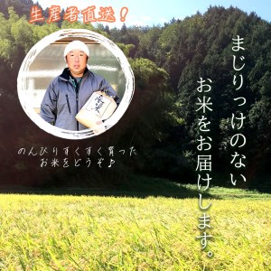 【令和6年度産 新米 発送 】 コシヒカリ 5kg ： 令和6年産 精米 白米 お米 おこめ ごはん こしひかり ご飯 白飯 京都産 舞鶴産 農家直送