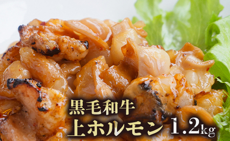 黒毛和牛 上ホルモン 1.2kg （150g×8） 焼肉 ホルモン
