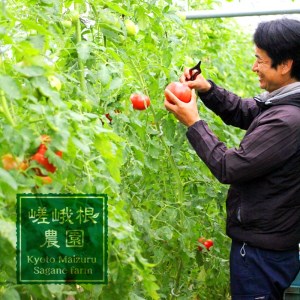 トマト 4kg 化粧箱入 甘い 農家直送 野菜 夏野菜 新鮮 鮮度 抜群 大玉トマト 完熟トマト 評判 好評 人気 濃厚 とまと リコピン ハウス栽培 京都 舞鶴 嵯峨根農園 ジュース パスタ トマトジュース ジャム 健康食品 美肌 美容 免疫 緑黄色野菜 お中元