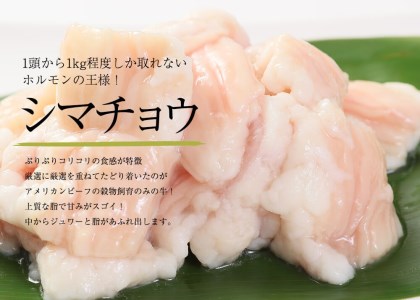 【訳あり】中トロ ホルモン 西京味噌焼き 1kg 大人数用 牛肉 焼肉 シマ腸 モツ ( 牛ホルモン ホルモン炒め ホルモン焼肉 ホルモン鍋 ホルモン焼き肉 中トロホルモン 小腸 ホルモン 京都ホルモン 舞鶴ホルモン 幸福亭ホルモン  小分けホルモン ホルモン小分けパック 冷凍ホルモン レシピ付きホルモン 大人気ホルモン 人気ホルモン ) 