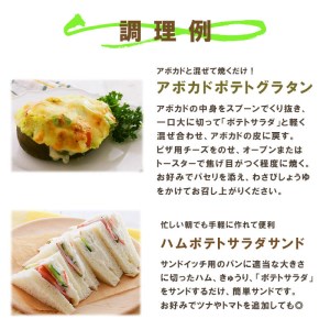 サラダのプロがつくった ポテトサラダ 20袋 ポテサラ