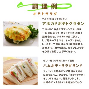 サラダ パウチ 2種 20袋（ポテト・マカロニ）