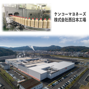 サラダ パウチ 2種 20袋（ポテト・ごぼう）