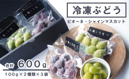 【 先行予約 8月末発送 】 冷凍ぶどう 600g シャインマスカット ピオーネ 100g×6袋 小分け 京都 舞鶴産 冷凍シャインマスカット 瞬間冷凍ぶどう 瞬間冷凍シャインマスカット 冷凍シャインマスカット 瞬間冷凍ぶどう 瞬間冷凍シャインマスカット 冷凍シャインマスカット 瞬間冷凍ぶどう 瞬間冷凍シャインマスカット 冷凍シャインマスカット 瞬間冷凍ぶどう食べ比べ 瞬間冷凍ぶどうセット 瞬間冷凍シャインマスカットセット 冷凍シャインマスカットセット 瞬間冷凍ぶどうセット 瞬間冷凍シャインマスカットとピオーネ 冷凍ピオーネ 瞬間冷凍ぶどう 瞬間冷凍ピオーネ ぶどう食べ比べ ぶどう 葡萄 ブドウ