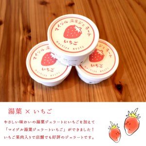 ご当地ジェラート マイヅル湯葉ジェラート いちご 6個 セット