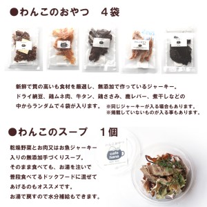 定期便】6回発送 cafe hana わんこのお弁当セット Ｓサイズ スープ