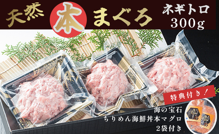 天然 本まぐろ ネギトロ セット ネギトロ 300g 海の宝石 ちりめん海鮮丼本マグロ 2袋 特典付き プロトン冷凍 解凍レシピ付 （ 本まぐろ まぐろ  海鮮丼 ネギトロ 本まぐろ まぐろ 海鮮丼 ネギトロ 本まぐろ まぐろ 海鮮丼 ネギトロ 本まぐろ まぐろ 海鮮丼 ネギトロ 本 ...