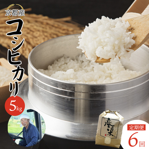 【定期便１２回】 【令和7年度産】 コシヒカリ 5kg×12回 合計60kg