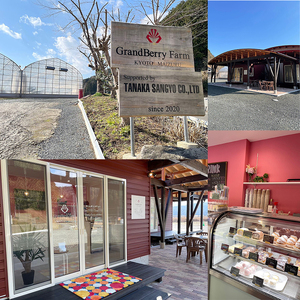 焼き菓子5種類（いちごフィナンシェ、いちごマドレーヌ、いちごのジャムサンドクッキー、ショコラクッキー、抹茶クッキー） 32個 セット