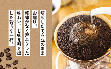 自家焙煎珈琲 こだわり コーヒー豆 600g (200g×3袋)