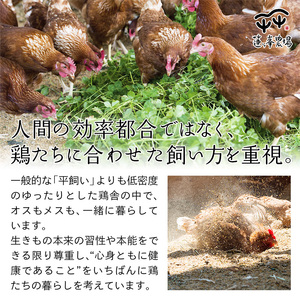 【定期便3ヶ月】平飼いたまご 24個×3ヶ月間 【 卵定期便 たまご定期便 平飼い卵 非遺伝子組み換え 自家配合 たまご タマゴ 平飼い 卵 国産 純国産鶏 もみじの平飼い卵 京都奥丹波 綾部 京都 蓮ヶ峯農場 】