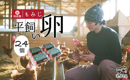 平飼いたまご 24個 【 平飼い卵 平飼いたまご 平飼い卵 平飼い 平飼いたまご 24個 【 平飼い卵 平飼いたまご 平飼い卵 平飼い