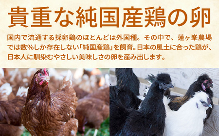 【蓮ヶ峯農場】京都奥丹波 平飼いたまご 24個