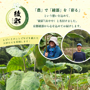 【先行予約】 冬の京野菜 えびいも 「こえびちゃん」 1kg 【 産地直送 農家直送 国産 旬 季節の野菜 詰め合わせ 京野菜 海老芋 里芋 野菜 冬野菜 贈答 贈り物 ギフト お土産 手土産 京都 綾部 】