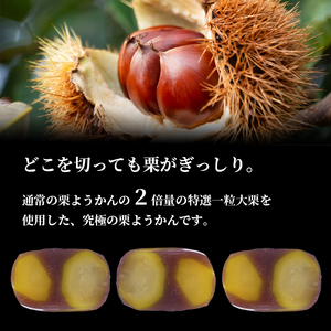 ≪先行予約≫ 贅沢 栗ようかん 1本 【 栗ようかん 栗羊羹 】
