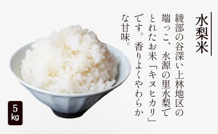 【定期便3回】綾部市特産品「上林セット」 綾部 京都 鶏肉 鶏 食べ比べ 米 お米 ふりかけ とち餅 野菜セット 定期便