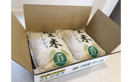 令和7年産 コシヒカリ 「聖米」 白米 10kg (5kg×2) 寄附額見直し(2025/12/2~)