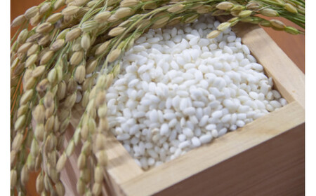 令和7年産 コシヒカリ 「聖米」 白米 10kg (5kg×2) 寄附額見直し(2025/12/2~)