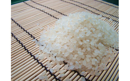 令和7年産 コシヒカリ 「聖米」 白米 10kg (5kg×2) 寄附額見直し(2025/12/2~)