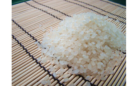 【ふるなびWEEK対象】 令和7年産 コシヒカリ 「聖米」白米 5kg FN-Limited-PR