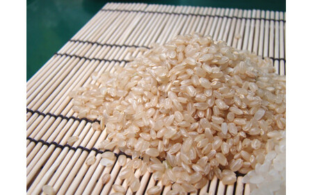 令和7年産 業務用 コシヒカリ 聖米 玄米24kg 寄附額見直し(2025/12/2~)