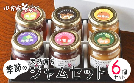 天然育ち季節のジャム 6個 【 ジャム ジャム ジャム ジャム ジャム ジャム】