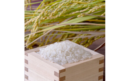 特別栽培米 5㎏ 丹の国穂まれ 特別栽培米